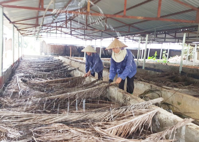 Nuôi trùn quế giúp HTX giải quyết triệt để nguồn chất thải từ nuôi bò (Ảnh TL)