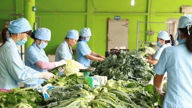 Các sản phẩm RAT của HXT Văn Đức đều được dán nhãn truy xuất nguồn gốc (Ảnh: TL)