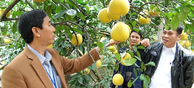 HTX giúp người dân làm giàu trên chính mảnh đất quê hương (Ảnh: Tư liệu)