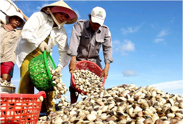 Các thế mạnh đang được phát huy tốt, tạo lực đẩy trong xây dựng NTM (Ảnh TL)