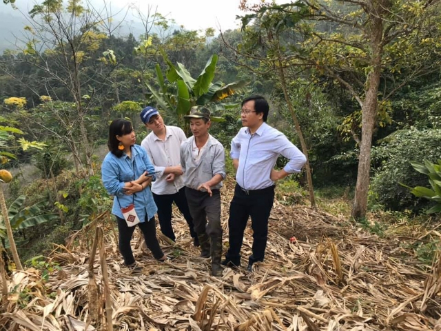 Tổ trưởng THT trồng nghệ hữu cơ