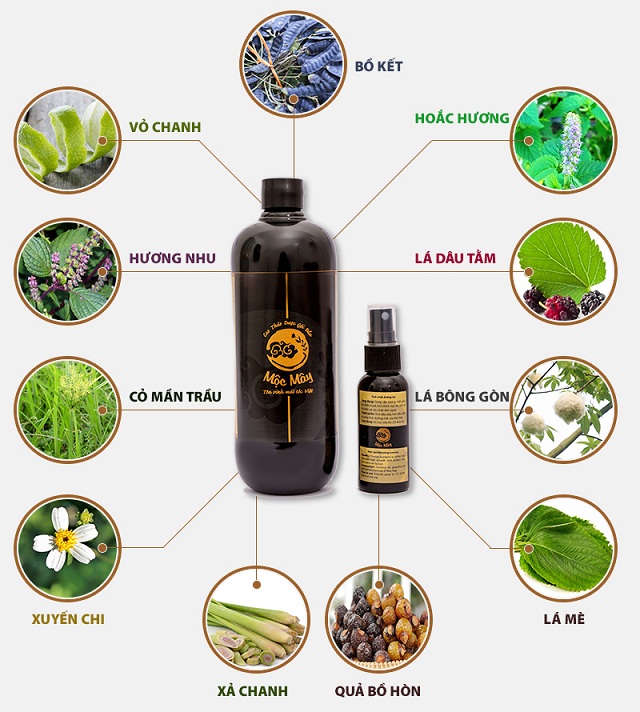 Cao dược liệu gội đầu Mộc Mây.