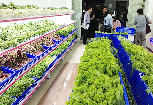 Nhờ sản xuất sạch, sản phẩm của HTX được thị trường ưa chuộng (Ảnh TL)