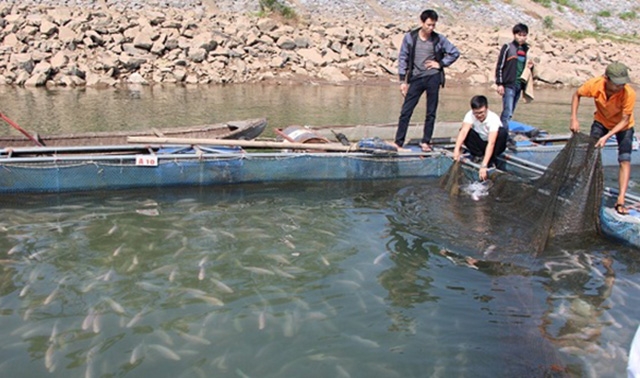 Nuôi trồng thủy sản áp dụng công nghệ mang lại giá trị cao hơn nuôi truyền thống (Ảnh: Tư liệu)