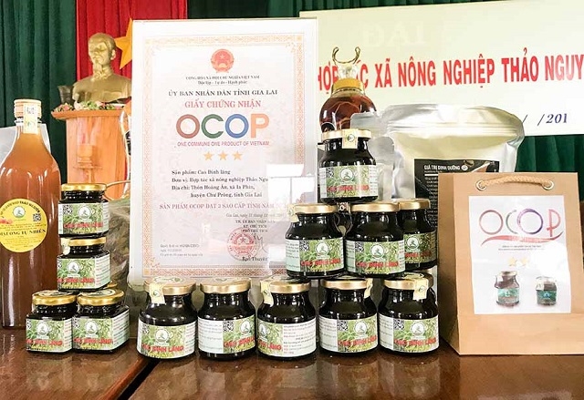 Sản phẩm cao đinh lăng của HTX Nông nghiệp Thảo Nguyên đã được Hội đồng đánh giá, phân hạng sản phẩm OCOP cấp tỉnh chấm đạt hạng 3 sao (Ảnh: TL)