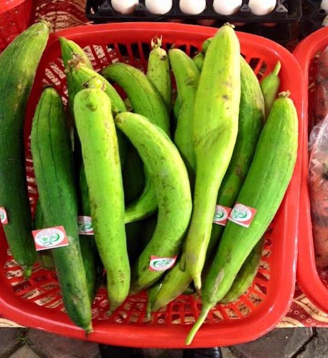 Các sản phẩm rau, củ, quả của HTX Hoàng Hà đều được dán nhãn mác có nguồn gốc xuất xứ rõ ràng.