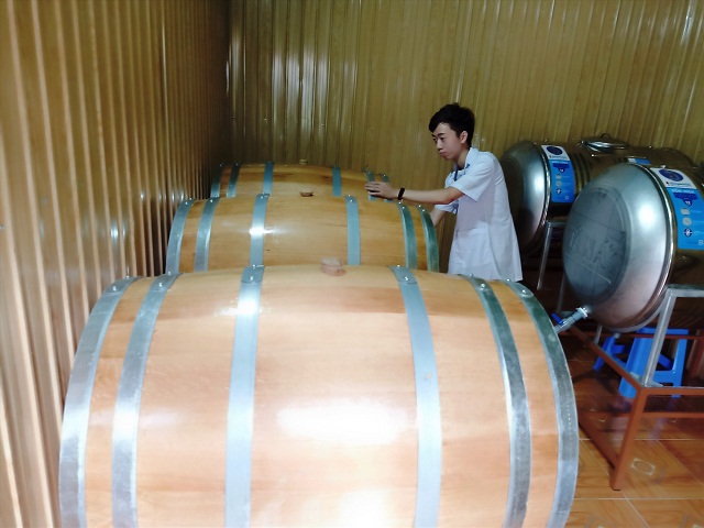 Khu vực chưng cất rượu vang của HTX Dịch vụ nông nghiệp Phước Tuyên (Ảnh: Tư liệu)