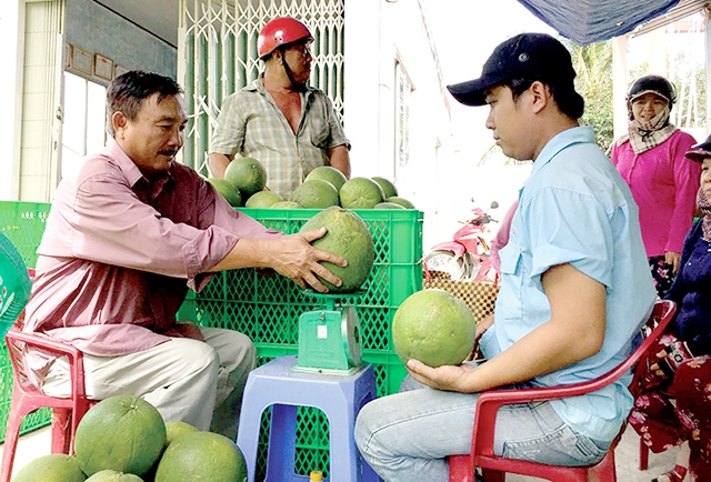 Các HTX, THT có đóng góp quan trọng trong xây dựng NTM của xã (Ảnh TL)