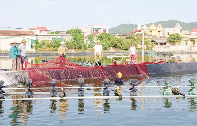 Ứng dụng công nghệ cao trong nuôi thuỷ sản sẽ giúp nâng cao giá trị (Ảnh: TL)