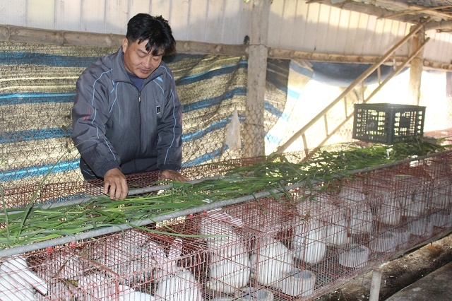 Anh Phú là một hộ nghèo trong xã nhờ nuôi thỏ mà thoát nghèo (Ảnh: Tư liệu)