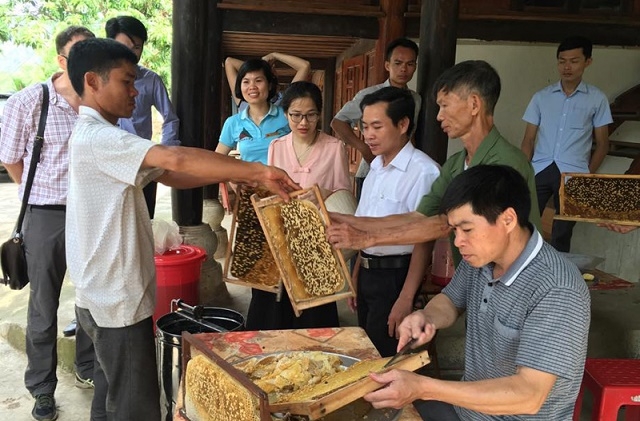 Nhờ nuôi ong, hàng chục hộ dân tại Lạc Lương thoát nghèo (Ảnh: TL)