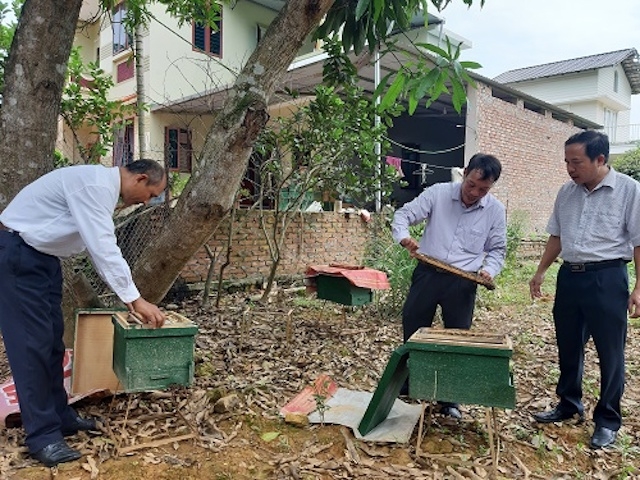 Tổ trưởng THT ong mật Kim Sơn Nguyễn Xuân Quyền (bên trái) giới thiệu mô hình nuôi ong của xã Kim Sơn (Ảnh: TL)