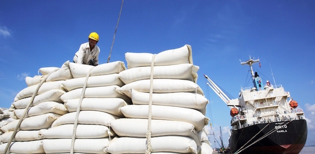 Hạn ngạch xuất khẩu 400.000 tấn trong tháng 4/2020 vừa mở ra đã hết khiến doanh nghiệp không kịp đăng ký (Ảnh minh họa: Internet)