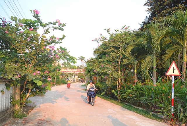 Điện Bàn tập trung xây dựng Khu dân cư NTM kiểu mẫu (Ảnh: TL)