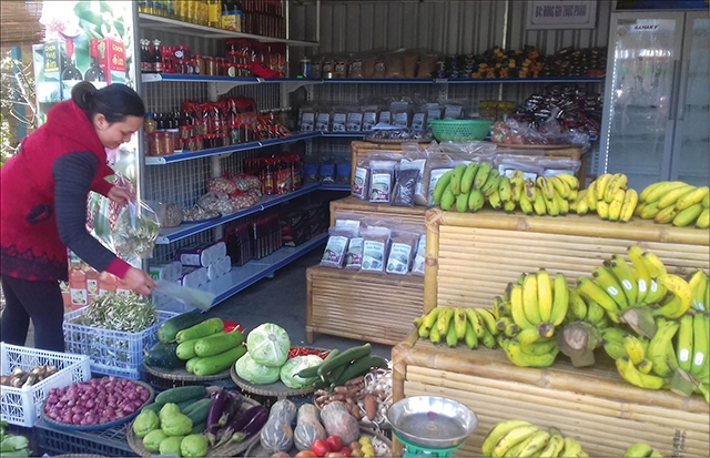 Sàn kinh tế hợp tác bán nông sản sạch (Ảnh: TL)