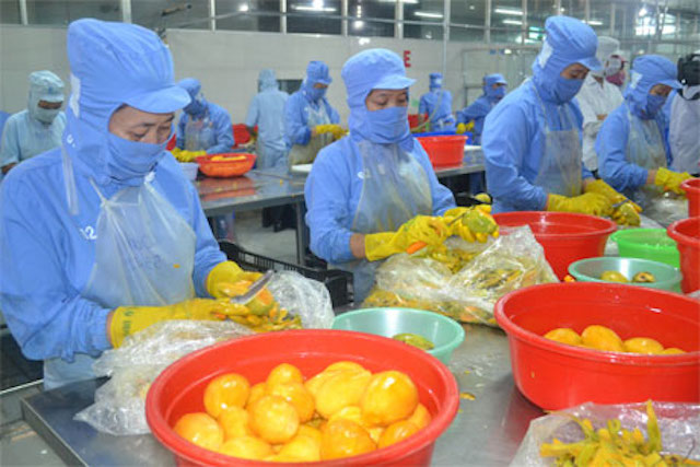 Nhu cầu đối với sản phẩm chế biến dự báo tiếp tục tăng (Ảnh: Tư liệu)