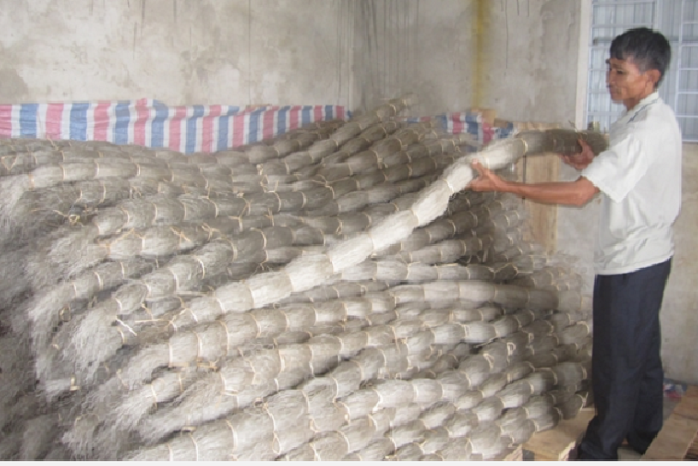 Miến đao Giới Phiên có đặc điểm dai, giòn, đun nấu nhiều lần mà không bị nhũn nát (Ảnh: TL)