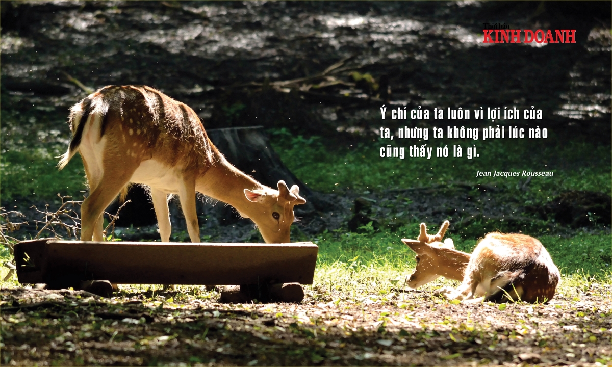 Ý chí của ta luôn vì lợi ích của ta, nhưng ta không phải lúc nào cũng thấy nó là gì. Jean Jacques Rousseau