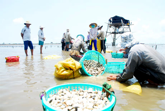 HTX đang là điểm tựa tạo sức bật sản xuất cho thành viên (Ảnh Tư liệu)