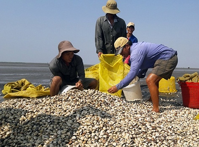 Môi trường được HTX chú trọng để đảm bảo sự phát triển bền vững (Ảnh TL)