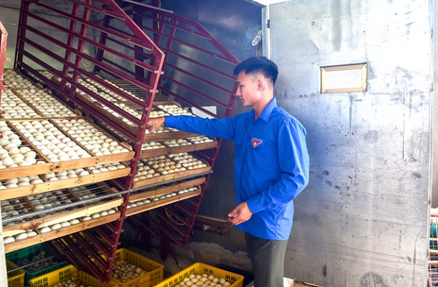 Lò ấp trứng của gia đình anh Vũ Đức Anh ở thôn Tân Thắng, xã Tú Thịnh, huyện Sơn Dương (Ảnh: TL)