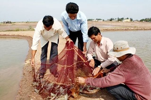 NTM chuyển biến nhờ sự bứt phá trong sản xuất (Ảnh TL)