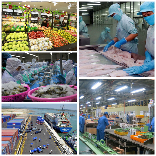 Năm 2019, nước ta đạt mức tăng trưởng GDP cao hơn 7%, mức cao nhất trong một thập kỷ qua, ngoài ra nhiều kỷ lục khác cũng được xác lập