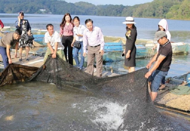 Mô hình nuôi cá lồng ở Huổi Só đang phát huy hiệu quả kinh tế (Ảnh: TL)