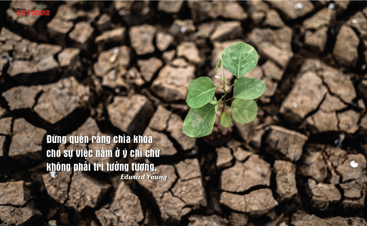 Đừng quên rằng chìa khóa cho sự việc nằm ở ý chí chứ không phải trí tưởng tượng. Edward Young