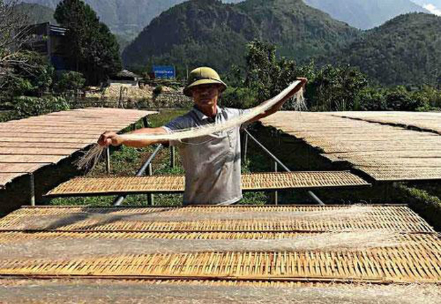 Nhiều mô hình HTX điển hình tiên tiến xuất hiện trong phong trào thi đua (Ảnh: TL)