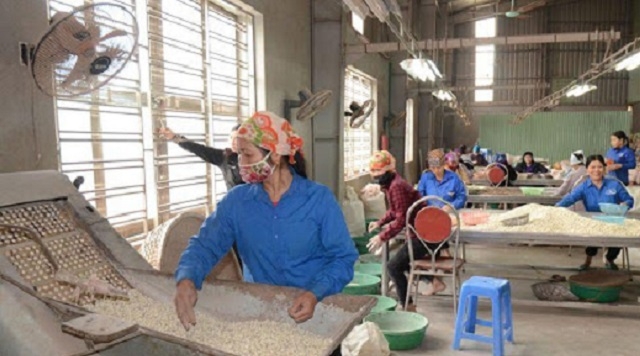 TP Hưng Yên đã chỉ đạo các ngành, địa phương tiến hành rà soát, xác định các sản phẩm hàng hóa có nguồn gốc địa phương, bảo đảm tiêu chuẩn để phát triển thành sản phẩm OCOP (Ảnh: TL)