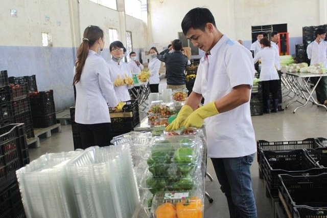 Đóng gói sản phẩm tại HTX Anh Đào (