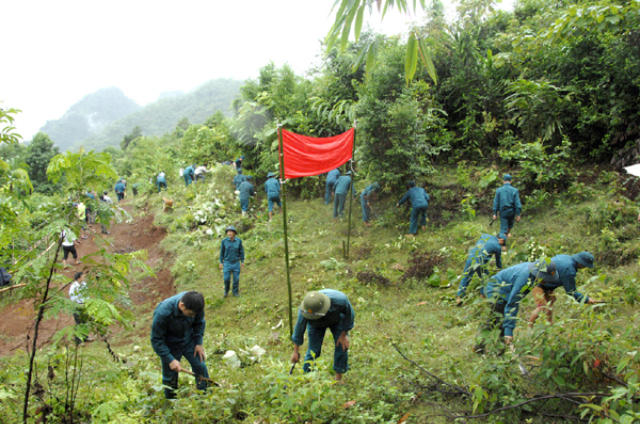 Mô hình sử dụng lực lượng dân quân trồng rừng mang lại hiêu quả cao cho Hà Giang (Ảnh: TL)