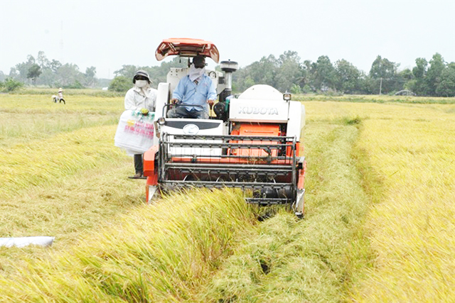 HTX đang phát triển mạnh nhờ liên kết 4 nhà (Ảnh Tư liệu)