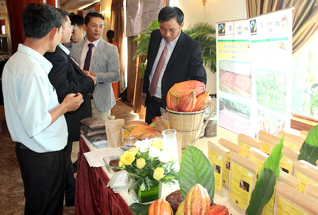 Nhiều doanh nghiệp bao tiêu đầu ra cho trái ca cao ở xã An Viễn