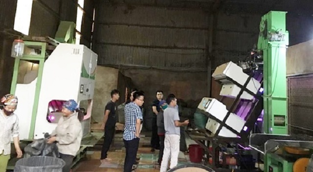HTX Kiến Thuận đầu tư máy tách màu chè để nâng cao công suất chế biến (Ảnh: TL)
