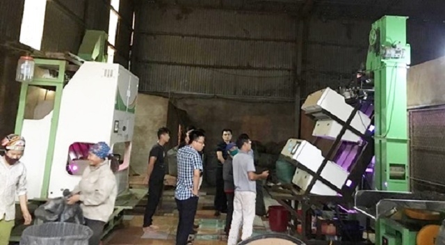 HTX Kiến Thuận đầu tư máy tách màu chè để nâng cao công suất chế biến (Ảnh: TL)