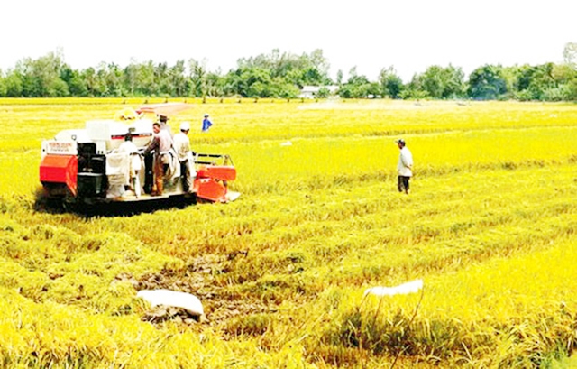 Làm nông nghiệp tử tế là lựa chọn tất yếu đảm bảo sự phát triển bền vững (Ảnh TL)