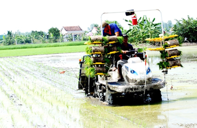 Khu vực kinh tế hợp tác, HTX đang khẳng định vai trò quan trọng trong xây dựng NTM (Ảnh TL)