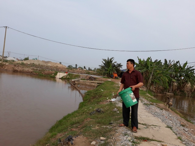 Người nuôi tăng cường chăm sóc, bảo vệ đàn cá, đợi thị trường bình ổn sẽ xuất bán