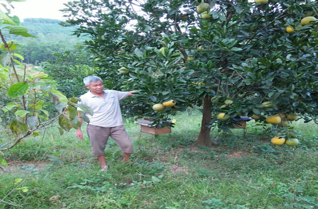 Đẩy mạnh chương trình mỗi xã một sản phẩm (Ảnh: Tư liệu)