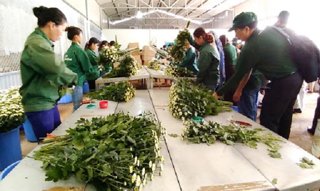 Đầu tư hợp lý vào phát triển kết cấu hạ tầng sẽ nâng cao năng lực cho các HTX (Ảnh: TL)