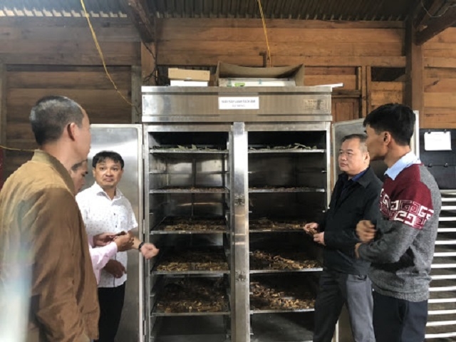 HTX được hỗ trợ ứng dụng máy móc thiết bị công nghệ cao trong chế biến và bảo quản sản phẩm (Ảnh: TL)