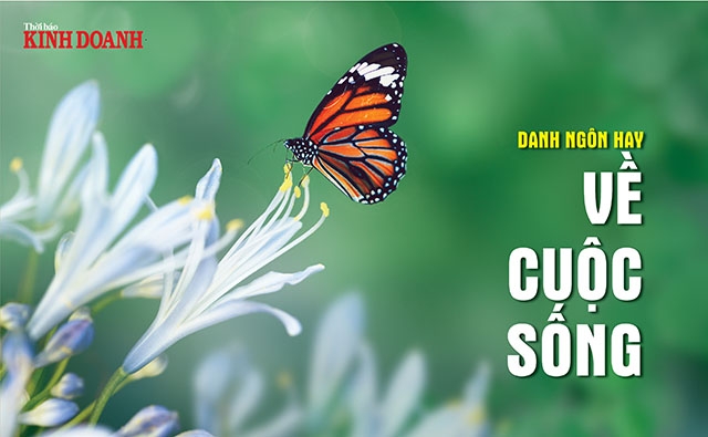 Danh ngôn hay về cuộc sống