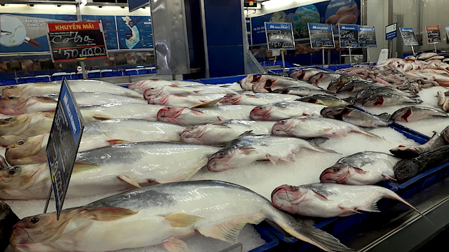 Xuất khẩu gặp khó, DN thuỷ sản còn gặp bất lợi trước nhiều loại phí