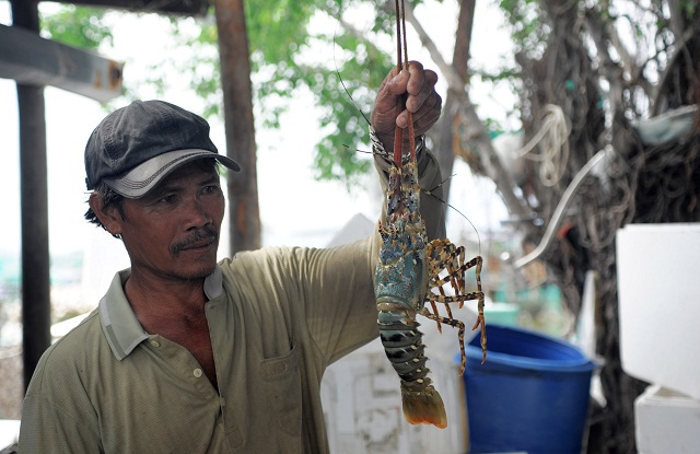 Thành viên và người lao độngt tại HTX Bình Ba đã nâng cao ý thức an toàn lao động trong quá trình nuôi tôm (Ảnh:TL)