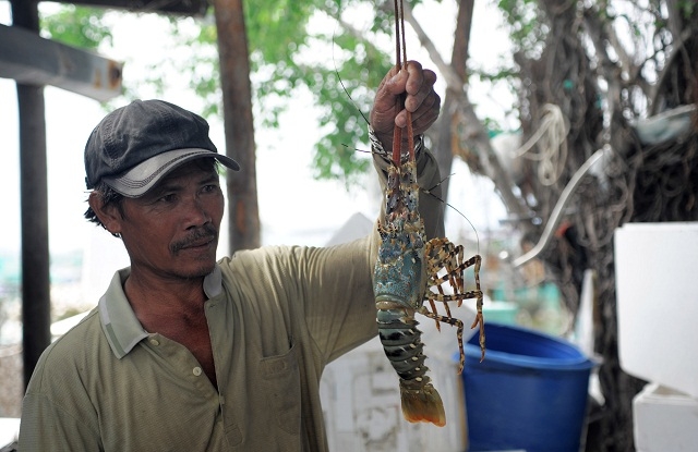 Thành viên và người lao độngt tại HTX Bình Ba đã nâng cao ý thức an toàn lao động trong quá trình nuôi tôm (Ảnh:TL)