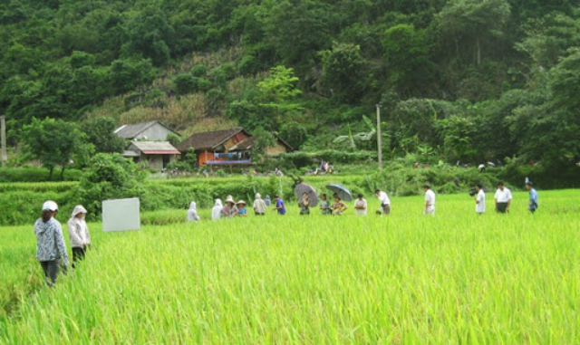 Phát triển HTX nông nghiệp là một trong những ưu tiên của tỉnh Cao Bằng (Ảnh: TL)