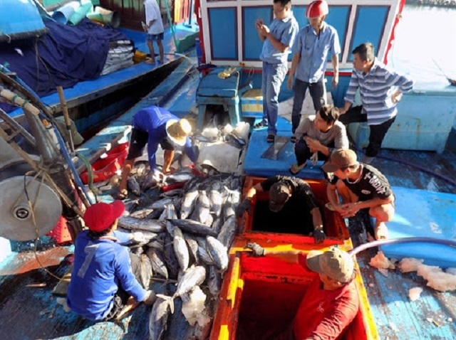 Đại dịch Covid – 19 có ảnh hưởng lớn đối với chuỗi cung ứng thủy sản (Ảnh minh họa: Internet)