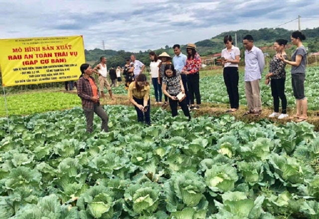 Mường Sang quan tâm đến tiêu chí nâng cao thu nhập cho người dân thông qua các mô hình sản xuất bền vững (Ảnh: TL)